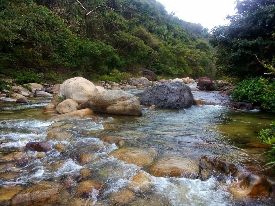 Casa Rio Cuale And River Retreat Puerto Vallarta Buitenkant foto