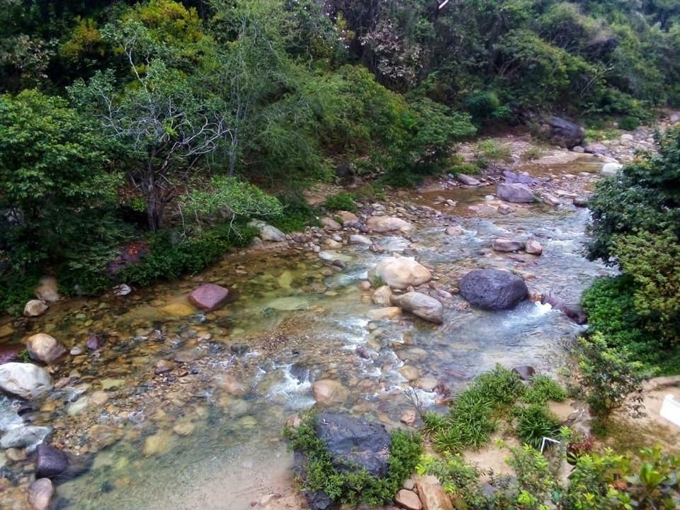 Casa Rio Cuale And River Retreat Puerto Vallarta Buitenkant foto