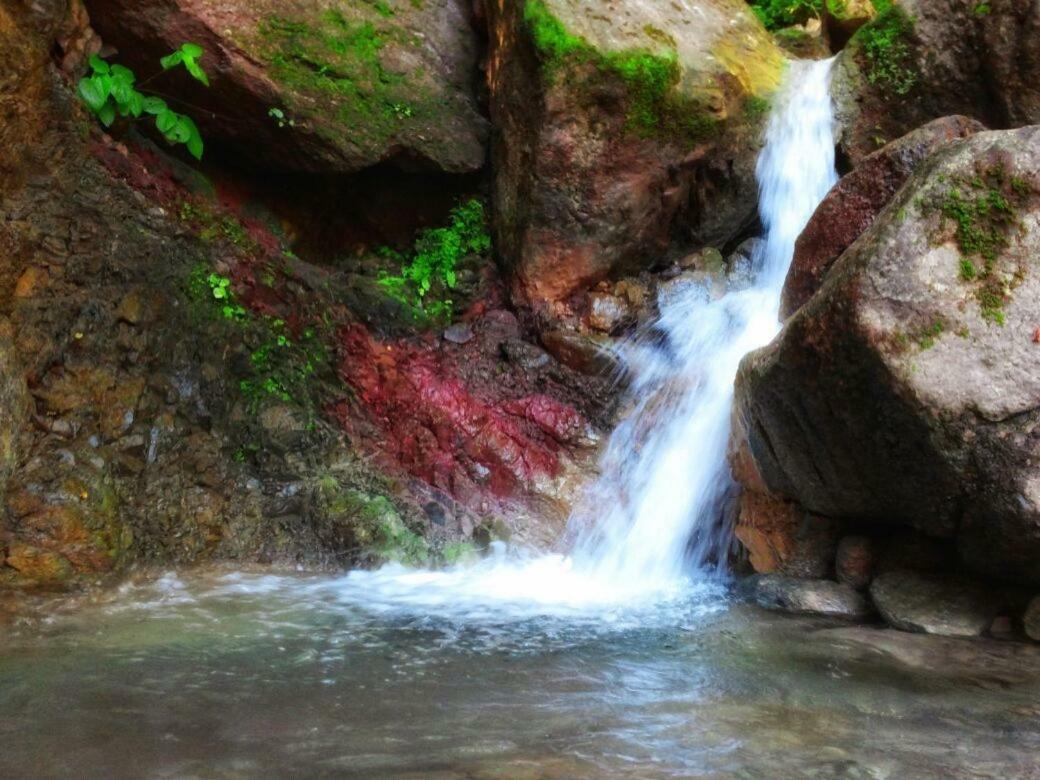 Casa Rio Cuale And River Retreat Puerto Vallarta Buitenkant foto